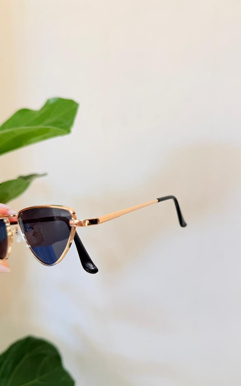 Óculos de sol vivichic